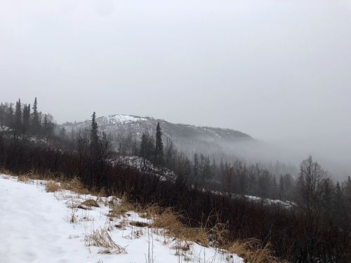 A foggy landscape with snow-covered ground, distant hills, and sparse trees in a muted, gray atmosphere.