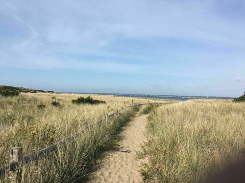 A sandy path through tall grass leads to the ocean under a clear blue sky.