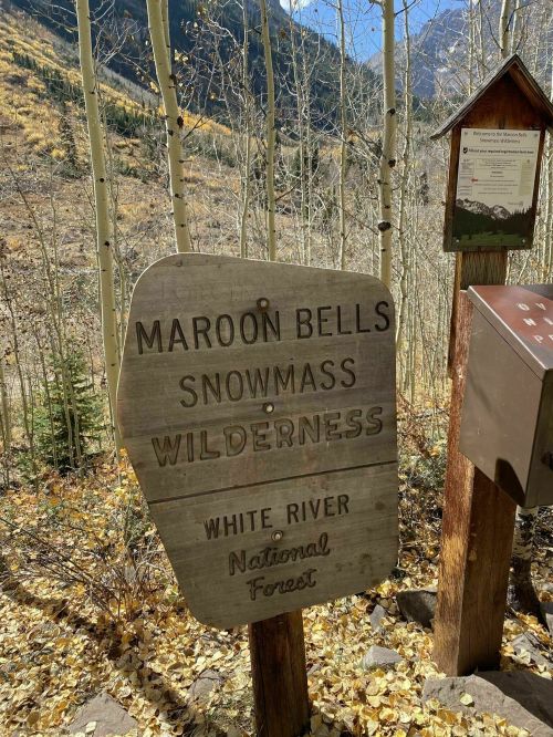 Sign for Maroon Bells-Snowmass Wilderness in White River National Forest, surrounded by autumn foliage.