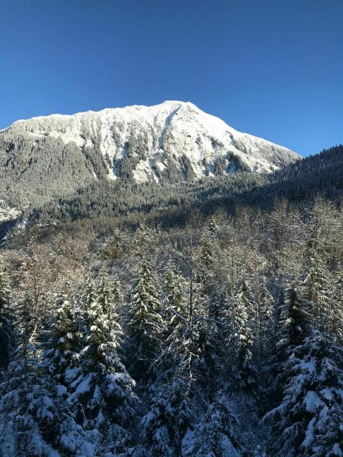 Snow-covered mountain peak against a clear blue sky, surrounded by evergreen trees blanketed in snow.