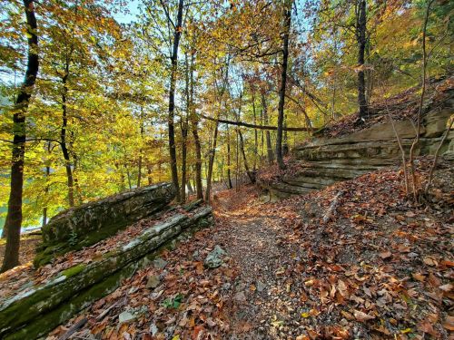 A scenic forest trail surrounded by colorful autumn leaves and rocky formations under a clear blue sky.