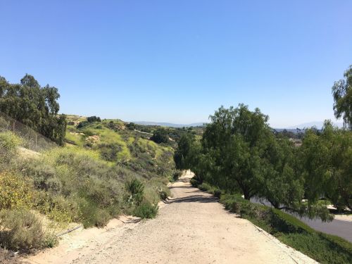 A dirt path winds through green hills under a clear blue sky, surrounded by trees and shrubs.