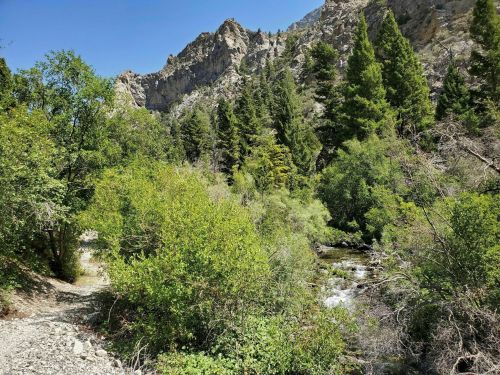 A serene river flows through lush greenery, surrounded by rocky mountains under a clear blue sky.