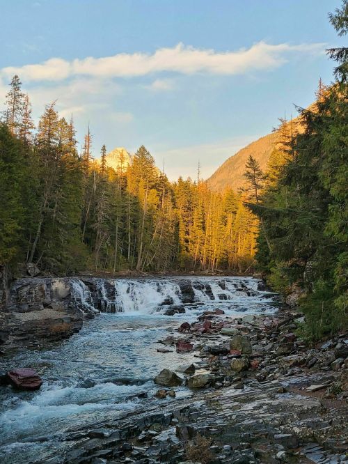 A serene river flows through a forested landscape, with sunlight illuminating the trees and mountains in the background.
