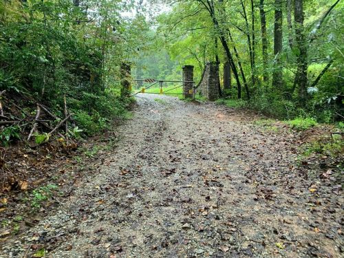 A gravel path leads to a closed gate, surrounded by lush green trees and fallen leaves on the ground.