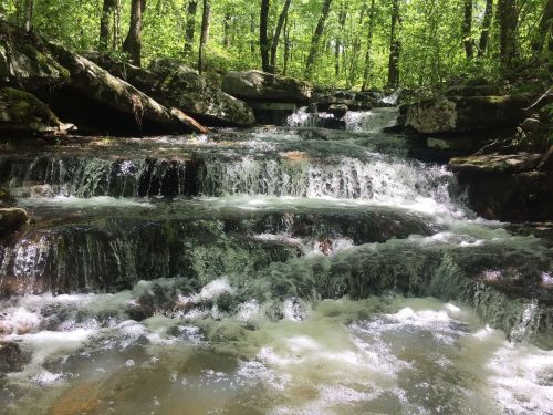 A serene forest scene featuring a cascading stream with clear water flowing over rocky steps, surrounded by lush greenery.