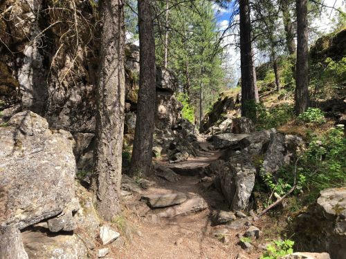 A rocky path winds through a forest of tall trees and boulders, with sunlight filtering through the foliage.