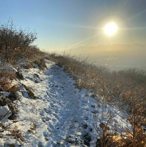 A snowy path winds through a hillside, with the sun shining brightly in a clear blue sky.