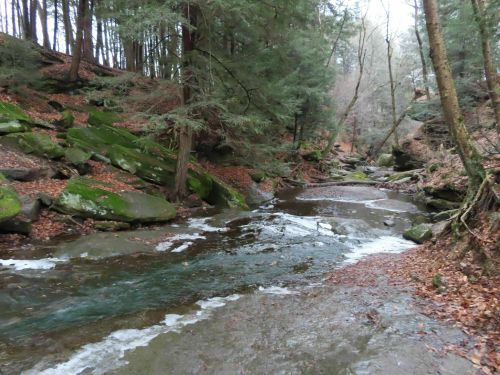 A serene forest scene featuring a winding stream surrounded by moss-covered rocks and trees with autumn leaves.