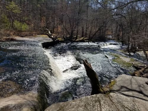A serene river flows over rocks, surrounded by trees and a peaceful natural landscape.