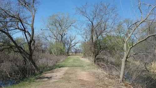 A dirt path lined with trees on either side, leading through a natural landscape under a clear blue sky.