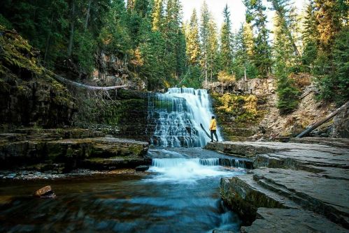 A person in a yellow jacket stands near a waterfall surrounded by lush green trees and rocky terrain.