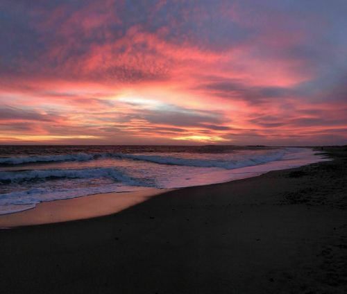 A serene beach at sunset, with vibrant pink and orange clouds reflecting on the water and gentle waves lapping the shore.