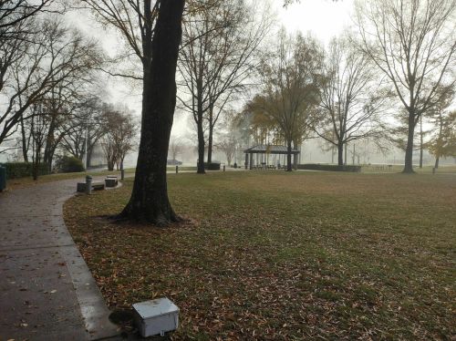 A foggy park scene with a path, bare trees, and a gazebo in the distance, surrounded by fallen leaves.