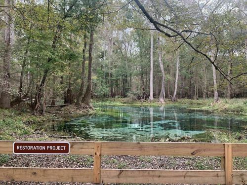 A serene forest scene with a clear pond, surrounded by trees, featuring a sign that reads "Restoration Project."
