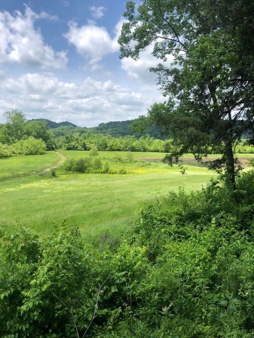 Lush green landscape with rolling hills, trees, and a partly cloudy sky. A winding path cuts through the vibrant fields.