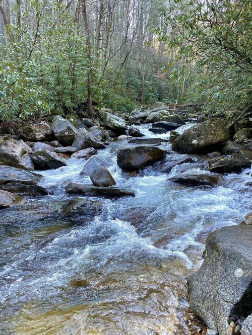 A serene river flows over rocks, surrounded by lush greenery and trees in a peaceful natural setting.