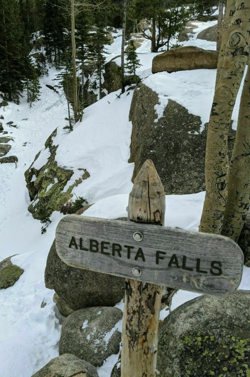 A wooden sign reading "Alberta Falls" stands near snowy rocks and trees in a winter landscape.