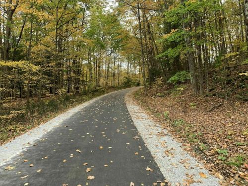 A winding path through a forest with autumn leaves and trees in vibrant fall colors.