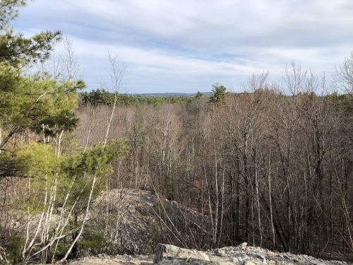 A scenic view of a forest with bare trees and distant hills under a cloudy sky.