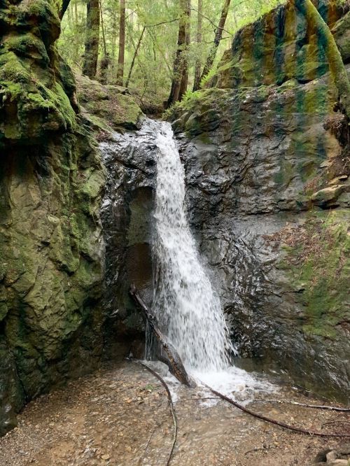 A small waterfall cascades over rocky terrain, surrounded by lush green trees in a serene forest setting.
