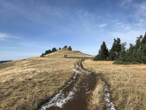 A winding dirt path leads up a grassy hill, surrounded by sparse trees under a clear blue sky.