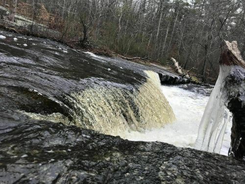 A small waterfall cascades over rocks, surrounded by bare trees and icy formations in a serene, winter landscape.