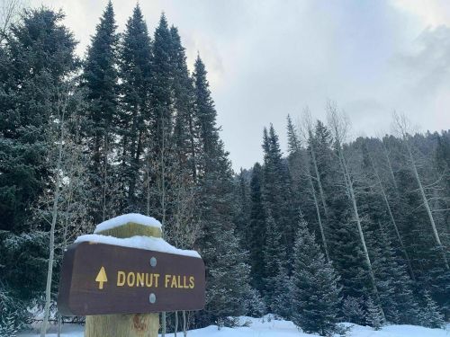 A wooden sign for Donut Falls surrounded by snow-covered trees and a cloudy sky.