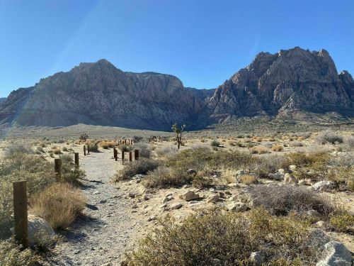 A desert landscape with rocky mountains in the background, a dirt path lined with wooden posts, and sparse vegetation.