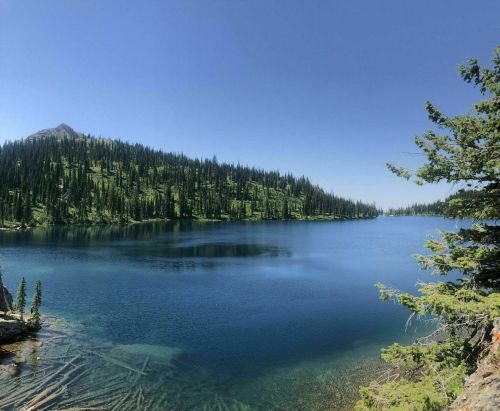 A serene lake surrounded by lush green trees and mountains under a clear blue sky.