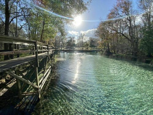 A serene river scene with a wooden walkway, clear water, and sunlight reflecting off the surface, surrounded by trees.