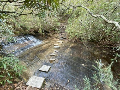 A serene stream with stepping stones crossing over, surrounded by lush greenery and trees.