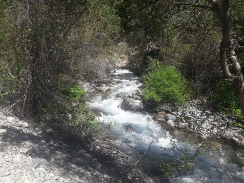 A serene river flows through a rocky landscape, surrounded by lush greenery and trees under bright sunlight.