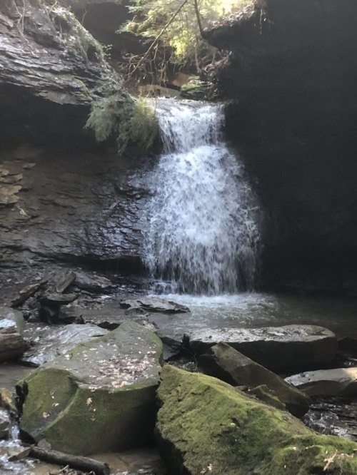 A serene waterfall cascades over rocky terrain, surrounded by lush greenery and moss-covered stones.