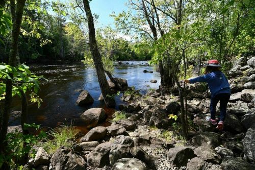 A child in a red hat walks along a rocky riverbank, surrounded by trees and a calm river under a clear blue sky.