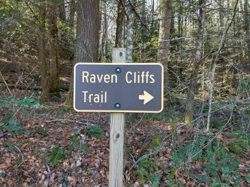 Sign for Raven Cliffs Trail with an arrow pointing to the right, surrounded by trees and forest undergrowth.
