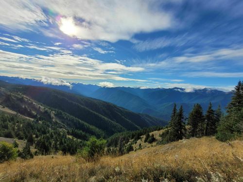 A panoramic view of mountains under a blue sky with clouds, featuring green forests and golden grass in the foreground.