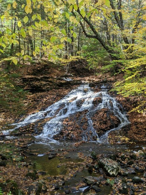 A serene waterfall cascades over rocks, surrounded by autumn leaves and lush green trees in a peaceful forest setting.