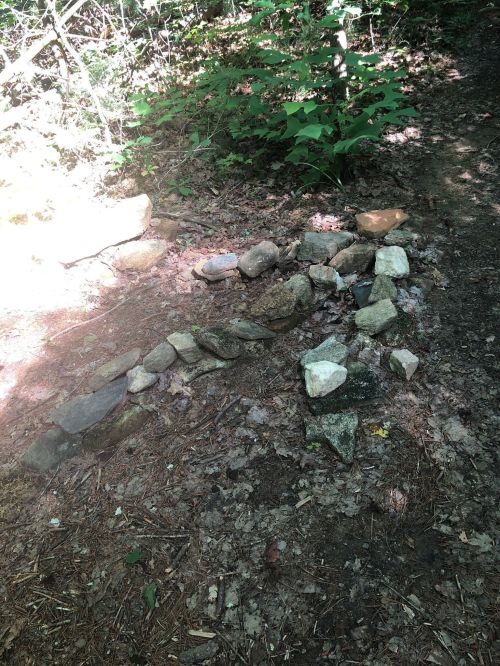 A winding path made of various stones on a forest floor, surrounded by greenery and sunlight.