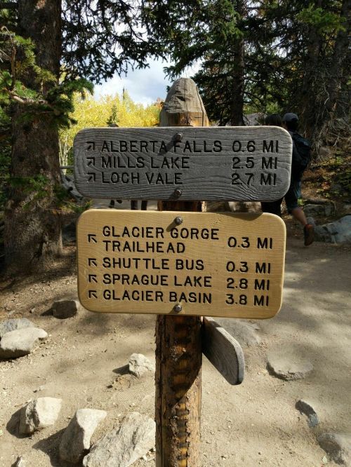 Trail signpost with directions and distances to Alberta Falls, Mills Lake, Loch Vale, Glacier Gorge, and Sprague Lake.