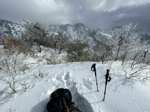 A snowy mountain landscape with hiking poles and a backpack in the foreground, surrounded by trees and misty peaks.