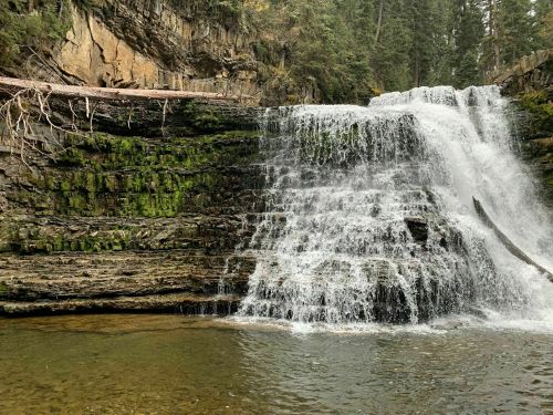 A serene waterfall cascading over moss-covered rocks into a calm pool, surrounded by lush greenery and trees.