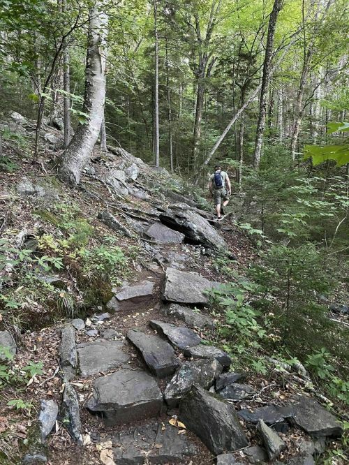A hiker navigates a rocky trail through a lush green forest. Sunlight filters through the trees.