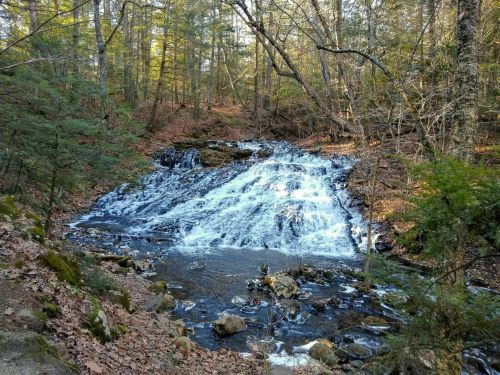 A serene waterfall cascades over rocks, surrounded by lush green trees and fallen leaves in a peaceful forest setting.