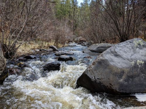 A flowing stream with rocks and bare trees, surrounded by lush greenery in a serene natural setting.