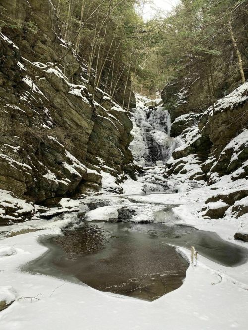 A frozen waterfall cascades down rocky cliffs, surrounded by snow-covered ground and evergreen trees.