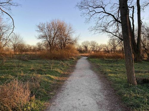 A gravel path winds through a grassy area with sparse trees under a clear sky during sunset.