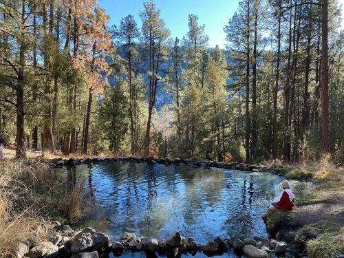 A serene natural hot spring surrounded by tall pine trees, with a person sitting quietly by the water's edge.