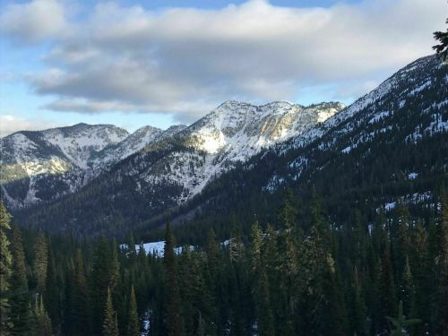 Snow-capped mountains rise above a dense forest under a partly cloudy sky.
