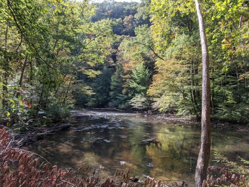 A serene river flows through a lush forest, surrounded by vibrant autumn foliage and tall trees.